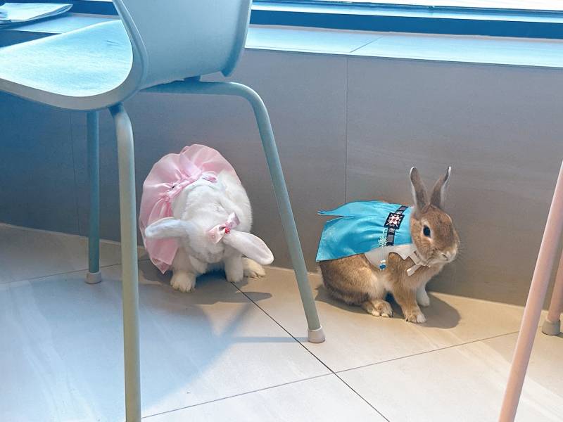 [잡담] 한복입고 병원접종 다녀왔당>< | 인스티즈