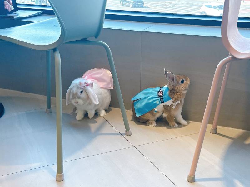 [잡담] 한복입고 병원접종 다녀왔당>< | 인스티즈