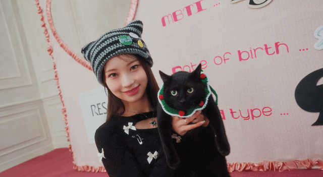 [잡담] 더뮤즈 엔터에서 데뷔하는 첫 걸그룹 리센느 (RESCENE) 멤버들 보고 가세요! 💙💚💜💛🖤 | 인스티즈