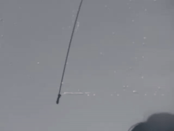 드디어 완성된 대한민국 4대 우산씬.gif | 인스티즈