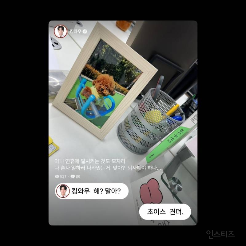 직장인 과몰입하게 만드는 아이돌과 팬의 티키타카 | 인스티즈