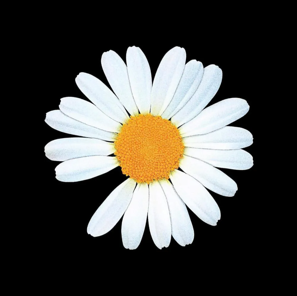 소름돋는 지드래곤 브랜드 이름 의미.jpg | 인스티즈