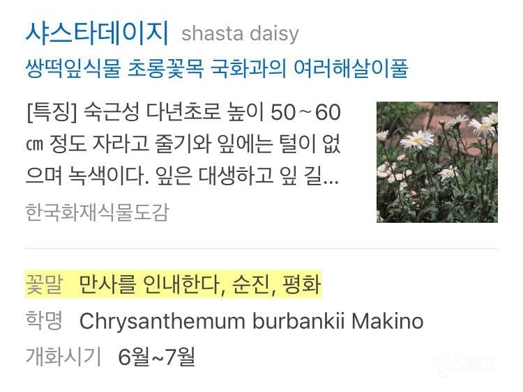 소름돋는 지드래곤 브랜드 이름 의미.jpg | 인스티즈