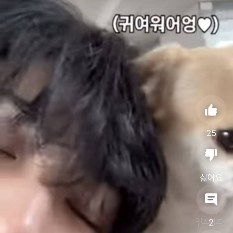 강아지 키우는 남자친구랑 영상 통화 하는 느낌 나는 신인 남돌 영상.jpg | 인스티즈