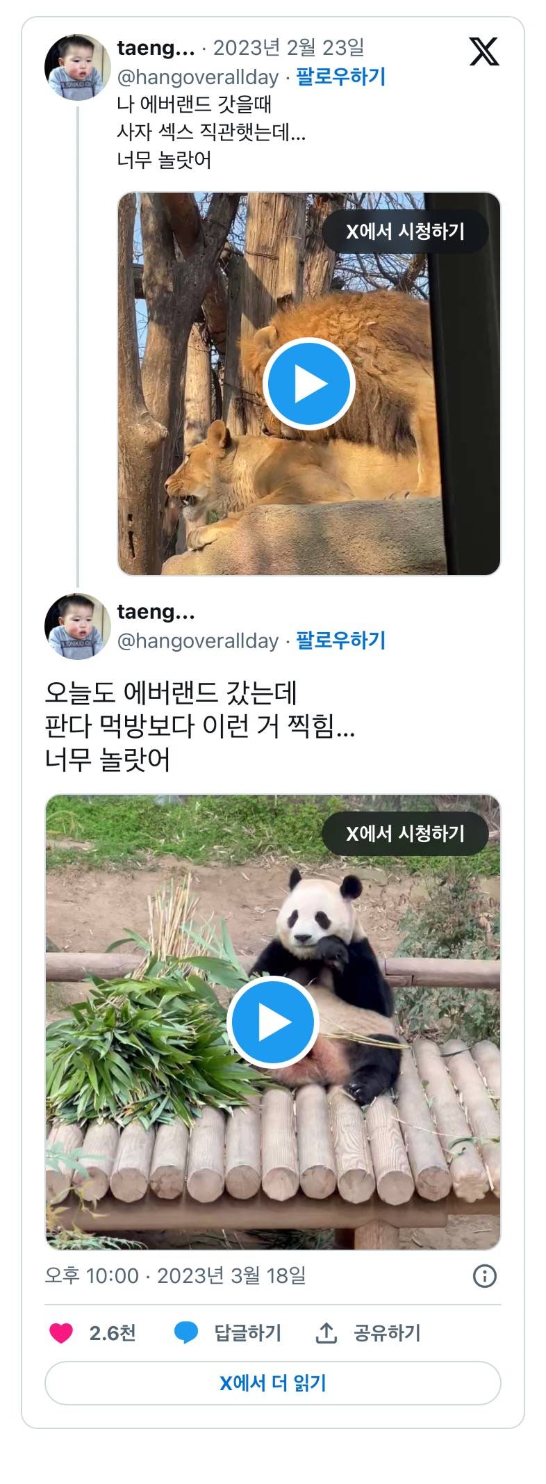 에버랜드 판다월드에서 이런 거 찍힘… 너무 놀랏어..gif | 인스티즈