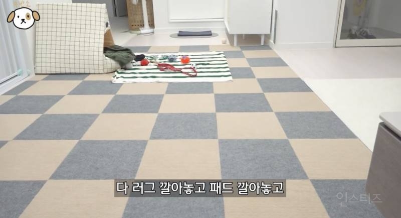 고양이랑 캥거루 그 사이에 있다는 한 강아지 종.jpg | 인스티즈