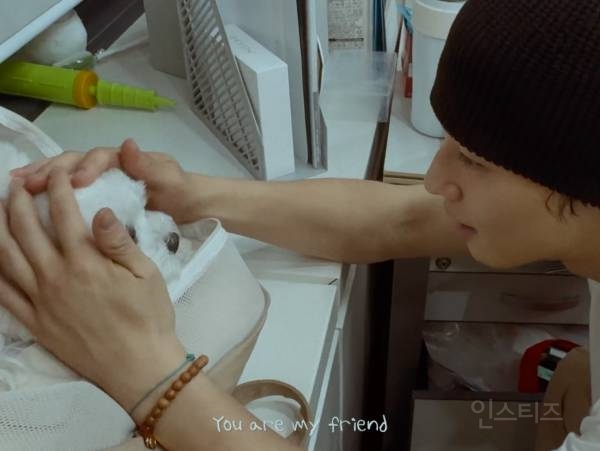 개부럽다는 말은 이럴 때 쓰이는 것 같은 움짤 .gif | 인스티즈