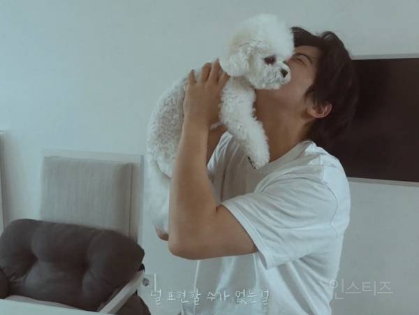 개부럽다는 말은 이럴 때 쓰이는 것 같은 움짤 .gif | 인스티즈