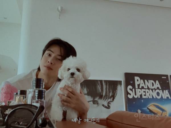 개부럽다는 말은 이럴 때 쓰이는 것 같은 움짤 .gif | 인스티즈