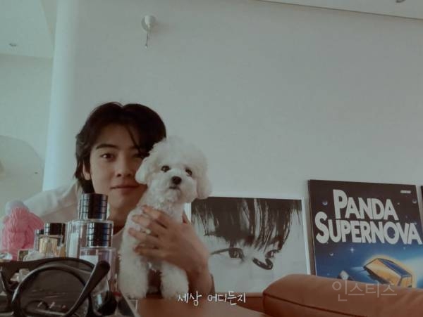 개부럽다는 말은 이럴 때 쓰이는 것 같은 움짤 .gif | 인스티즈