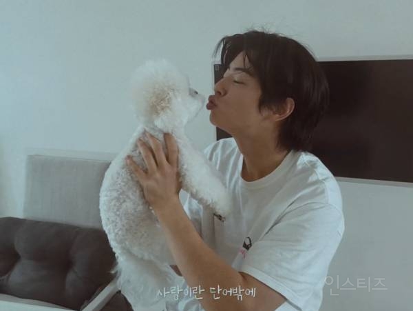 개부럽다는 말은 이럴 때 쓰이는 것 같은 움짤 .gif | 인스티즈