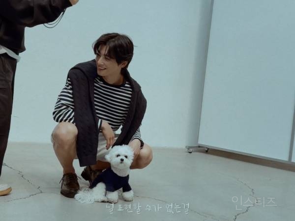 개부럽다는 말은 이럴 때 쓰이는 것 같은 움짤 .gif | 인스티즈