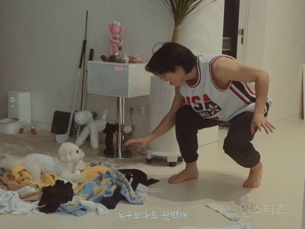 개부럽다는 말은 이럴 때 쓰이는 것 같은 움짤 .gif | 인스티즈