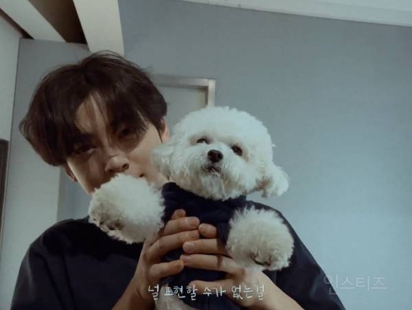 개부럽다는 말은 이럴 때 쓰이는 것 같은 움짤 .gif | 인스티즈