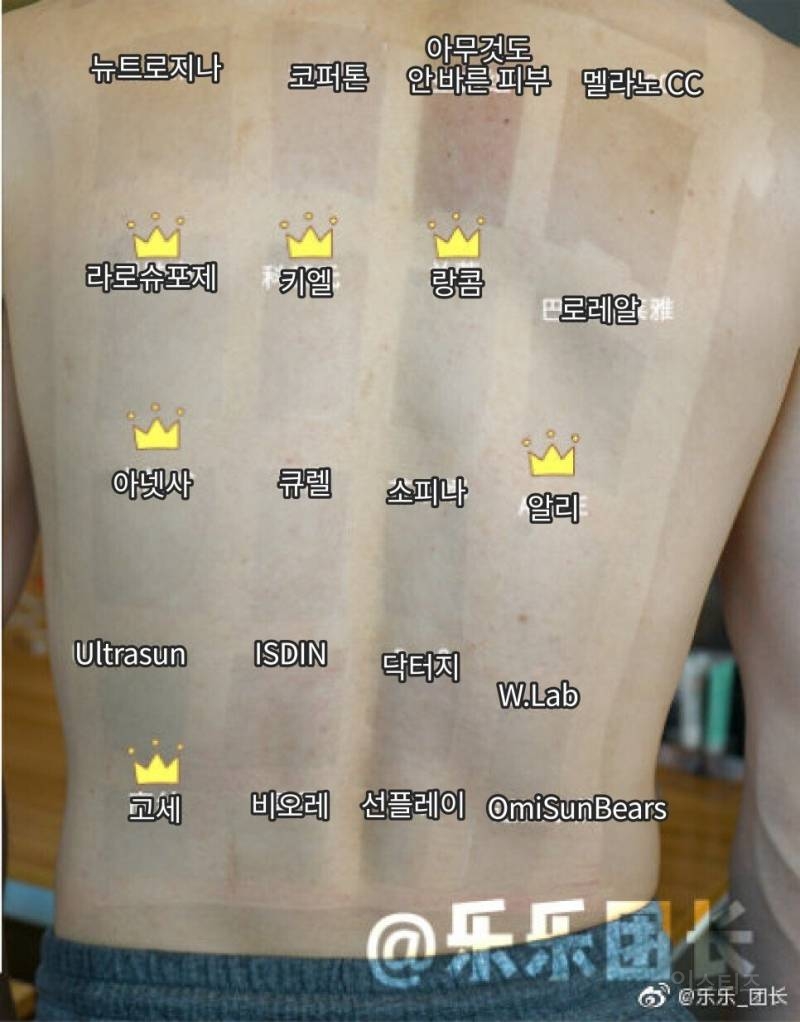 선크림 19종 실험해본 결과 | 인스티즈