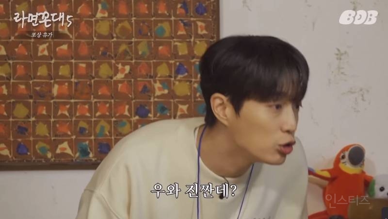 침착맨 인스타그램 첫 피드+하이라이트 풍산갱 사건(긴 글 주의) | 인스티즈