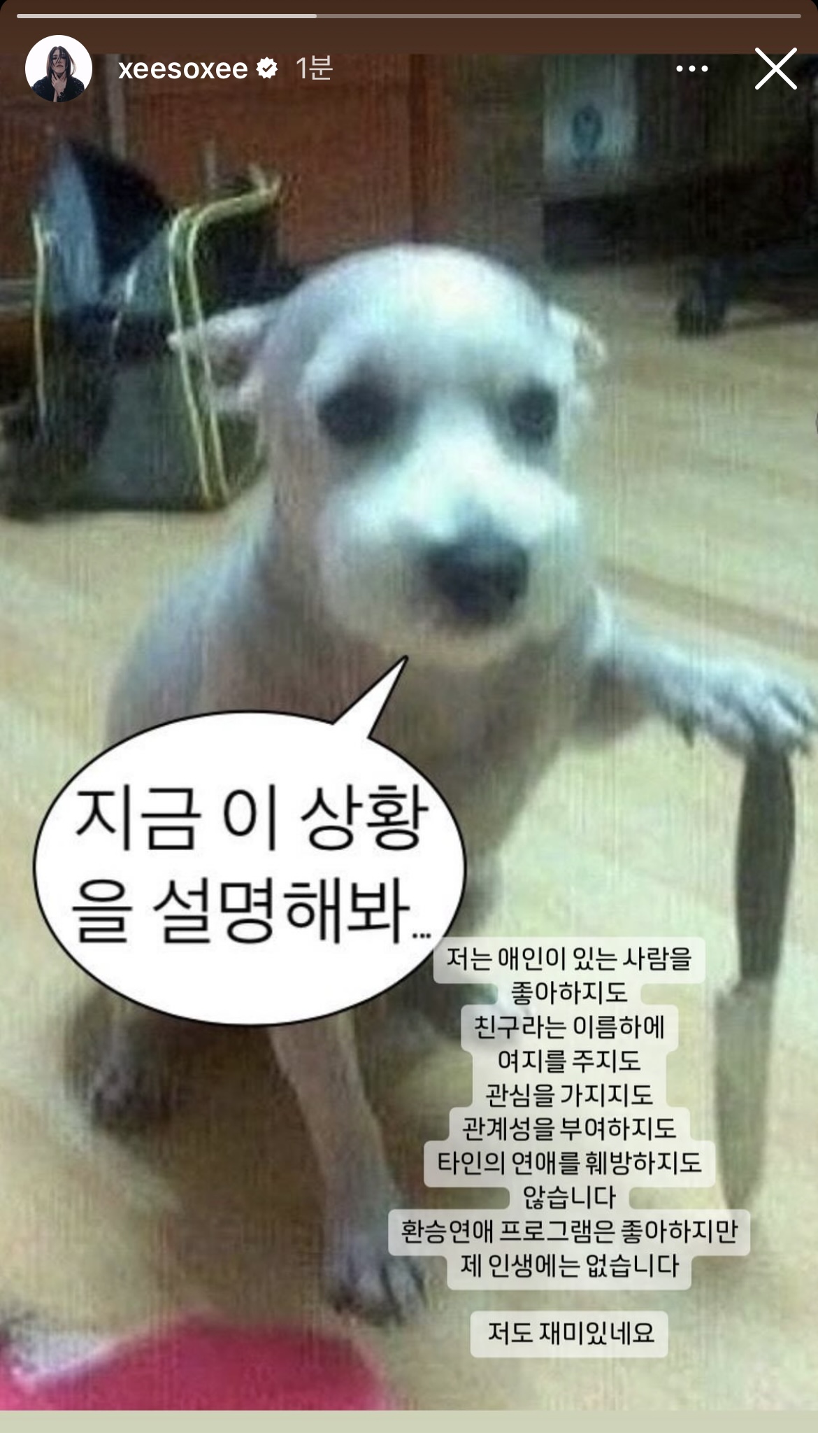 [정보/소식] 한소희 인스타 스토리 | 인스티즈