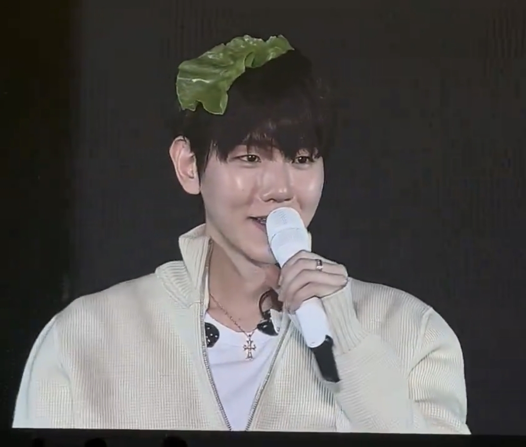 [잡담] 콘서트 드코 상추핀 한 백현이 ㅋㅋㅋㅋ | 인스티즈