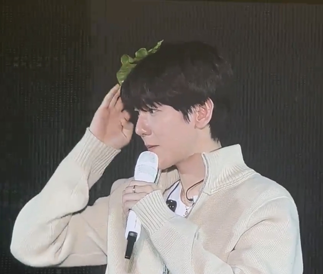 [잡담] 콘서트 드코 상추핀 한 백현이 ㅋㅋㅋㅋ | 인스티즈
