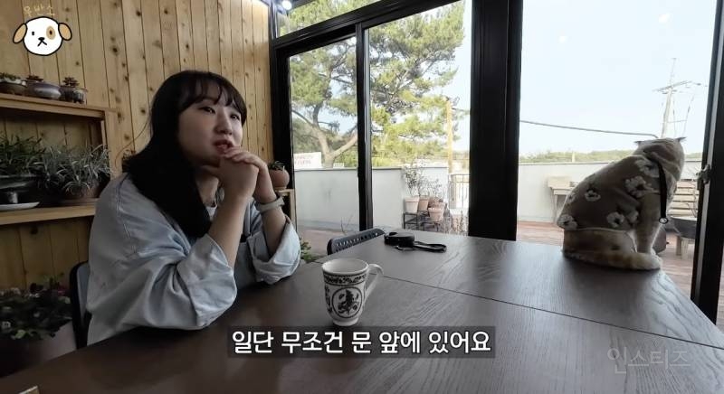 전세계 1% 산책 좋아하는 고양이.jpg | 인스티즈