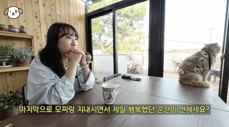 전세계 1% 산책 좋아하는 고양이.jpg | 인스티즈