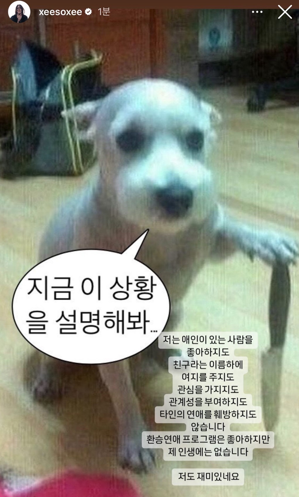 [잡담] 한소희 칼든개 사진 올렸다는거 텍스트로보니가 쪼매무섭네 | 인스티즈