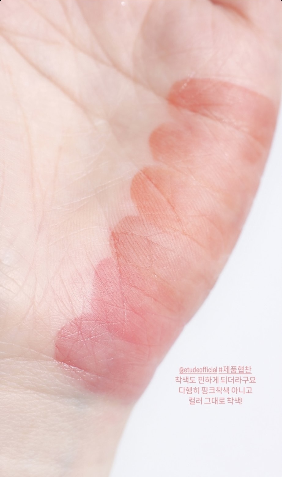 [잡담] 라이즈 에뛰드 틴트 패키지+발색샷 정리!! | 인스티즈