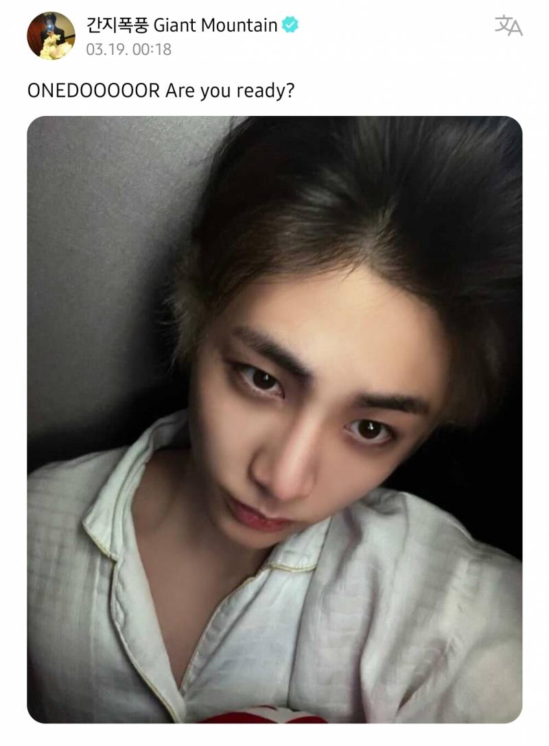 컴백티저 뜨자마자 복작복작 달려온 보넥도 | 인스티즈