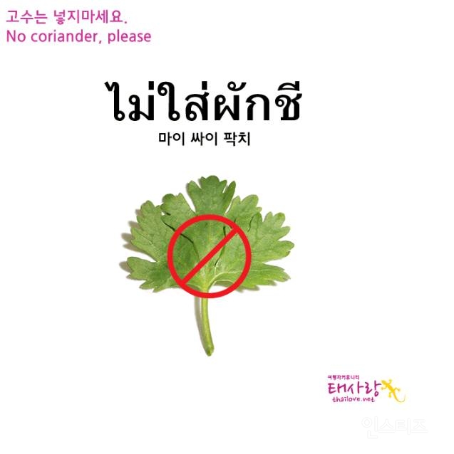 4월에 방콕 꼭 가야하는 이유&꿀팁✈ | 인스티즈