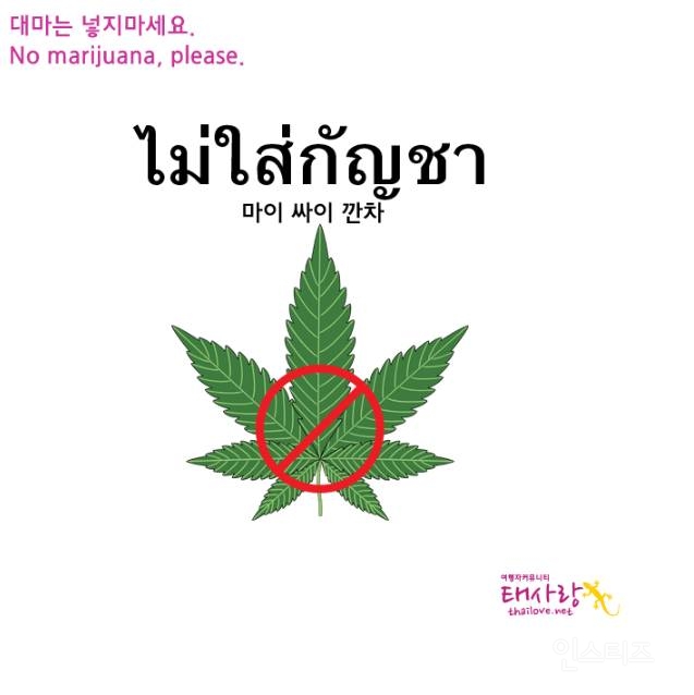 4월에 방콕 꼭 가야하는 이유&꿀팁✈ | 인스티즈