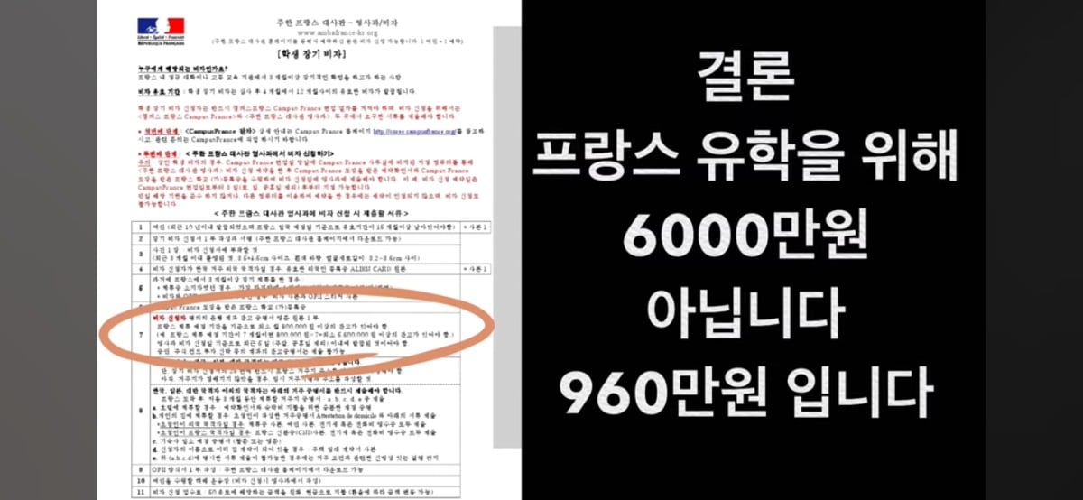 [정보/소식] 지금 사실관계 정정중이라는 한소희 프랑스학교 합격 | 인스티즈