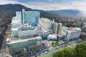 [속보] 전공의 떠난 의료현장 지키던 부산대병원 교수 사망 | 인스티즈