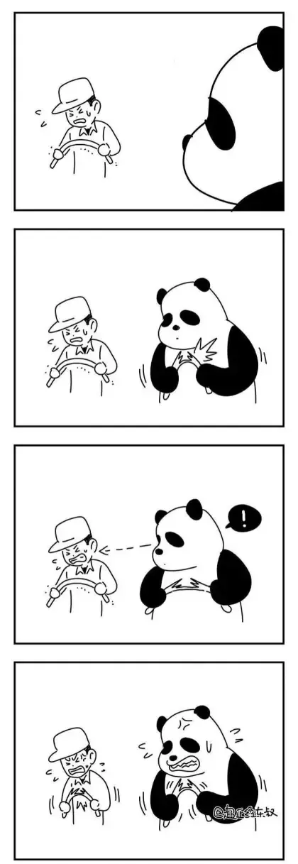 역대급 레전드 귀여운 판다의 버릇 | 인스티즈