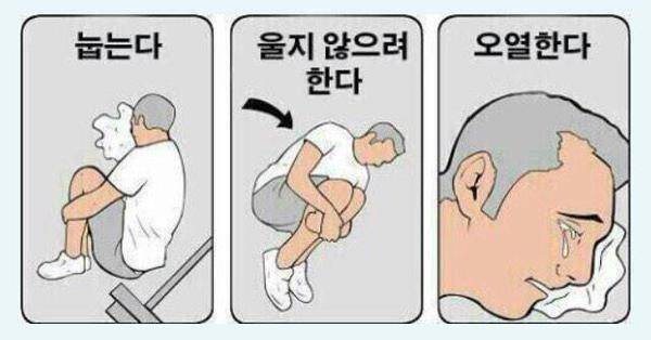 [잡담] 도수풀 재탕 ㅅㅍㅈㅇ | 인스티즈