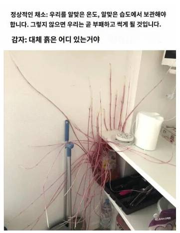 감자가 왜 구황식물인지 알 수 있는.jpg | 인스티즈