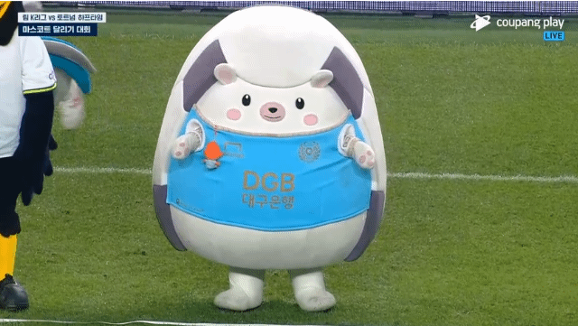 [미디어] 현재 K-리그에서 가장 귀엽다는 마스코트.gif | 인스티즈