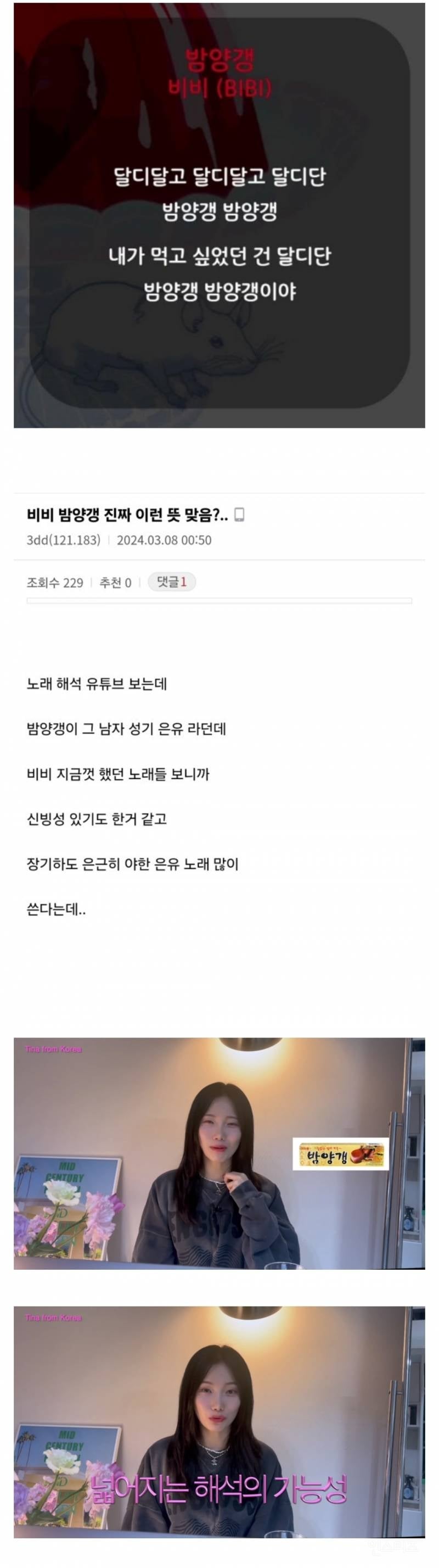 밤양갱 가사 해석 논란.jpg | 인스티즈