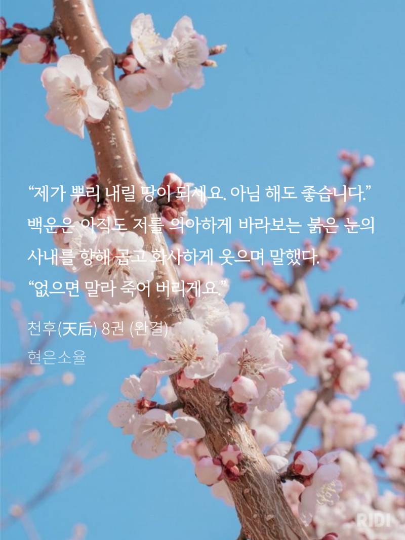 [잡담] 재미나게 읽은거 발췌모음 | 인스티즈