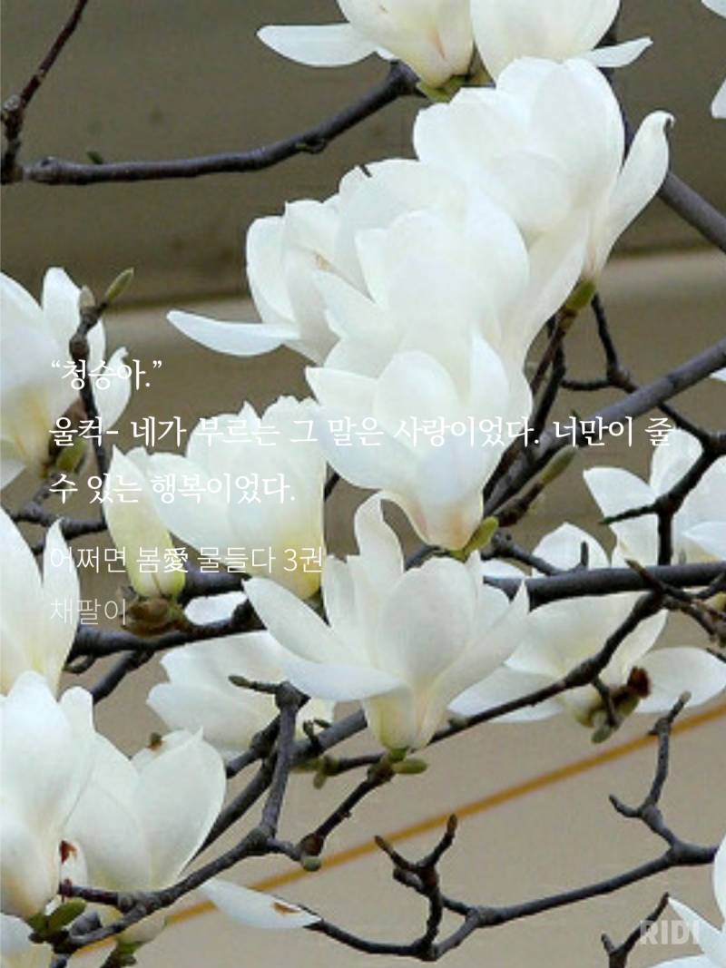 [잡담] 재미나게 읽은거 발췌모음 | 인스티즈