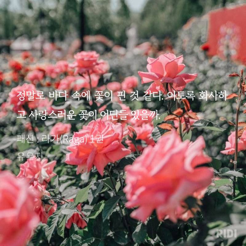 [잡담] 재미나게 읽은거 발췌모음 | 인스티즈