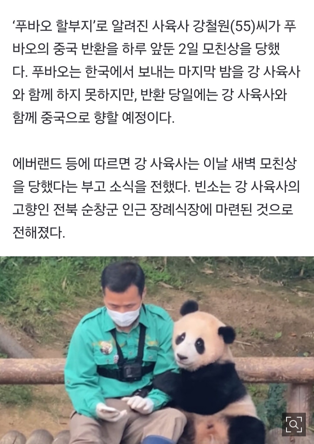 [잡담] 푸바오와 이별 앞둔 강철원 사육사 모친상…"예정대로 함께 중국행" | 인스티즈