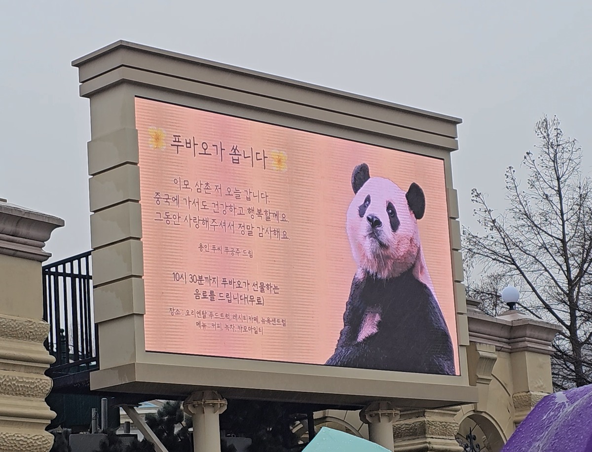 [잡담] 얘두라 푸바오가 역조공 한대.... | 인스티즈
