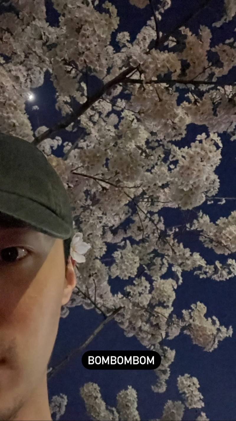 노래값하는 인간 봄 알리미 싱어송라이터 | 인스티즈
