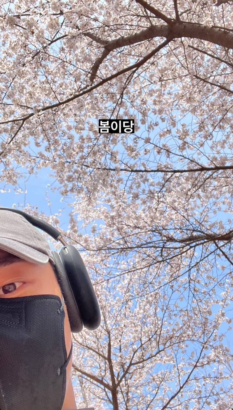 노래값하는 인간 봄 알리미 싱어송라이터 | 인스티즈
