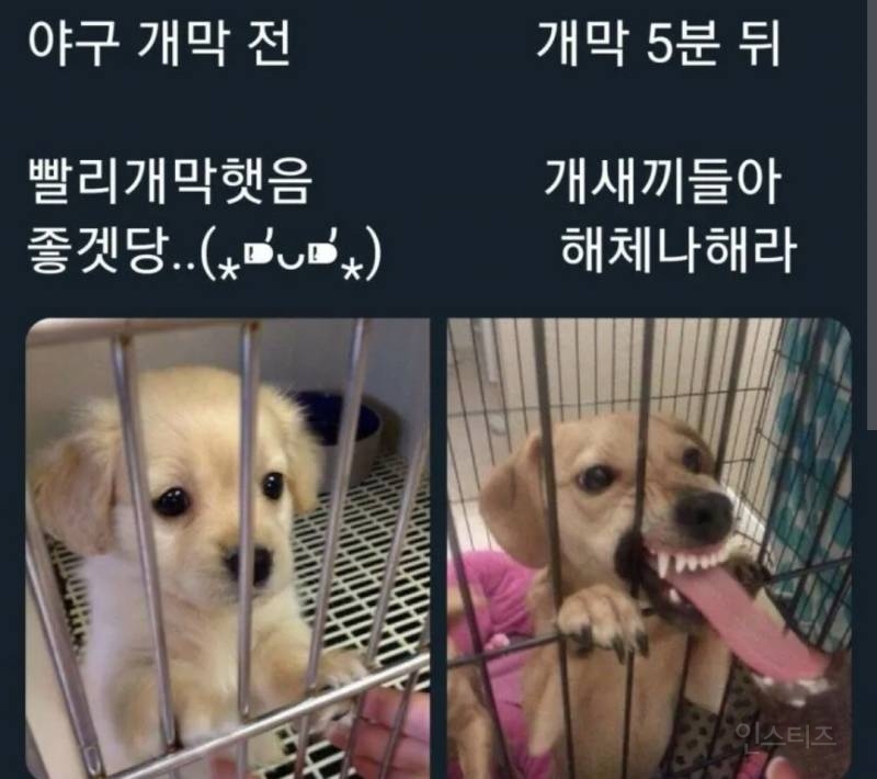???: 야구장에서 고기 구워먹는거 진짜 가능해? | 인스티즈