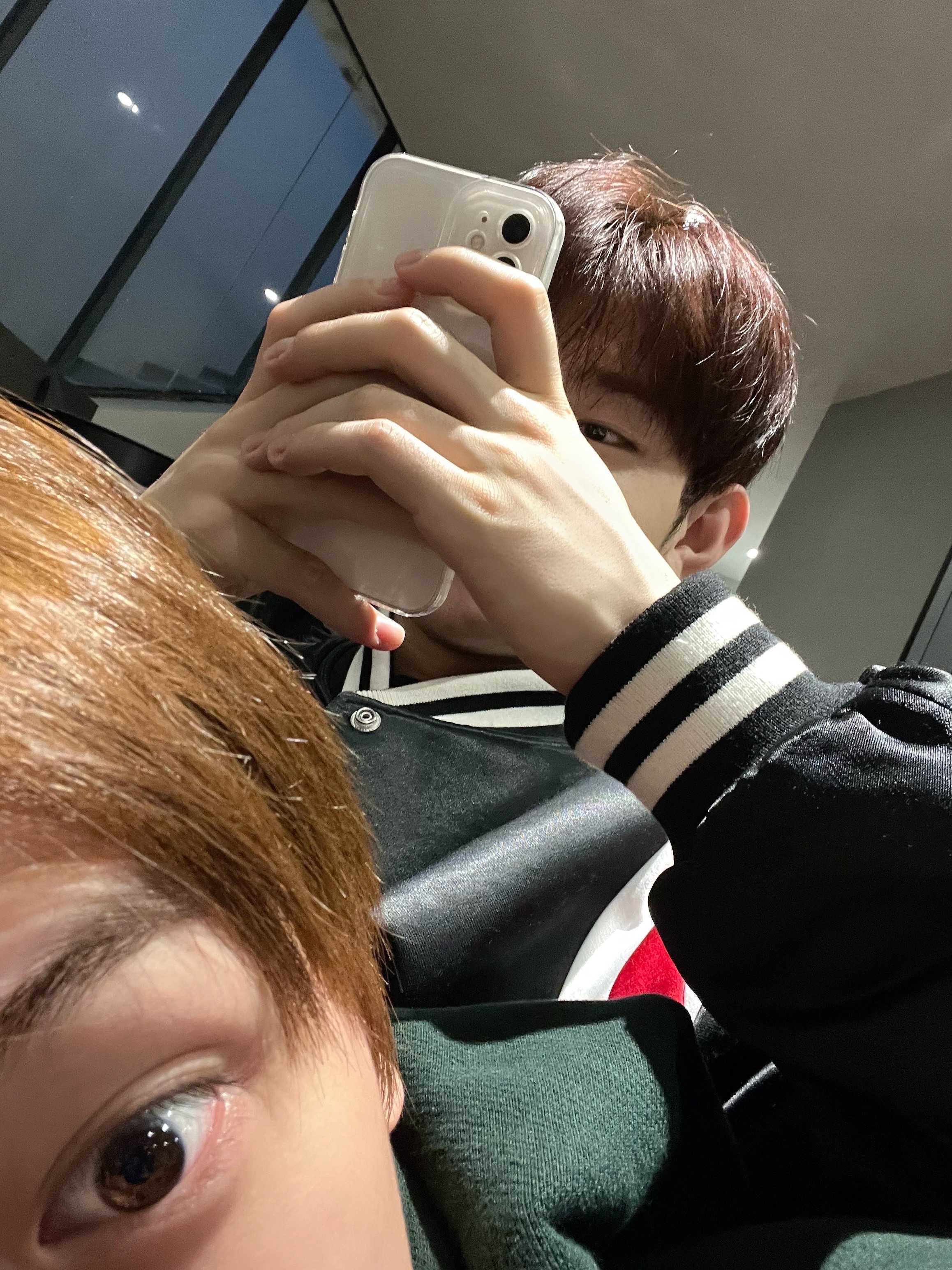 [잡담] 강아디들이 사이가 왜이리 좋아 | 인스티즈