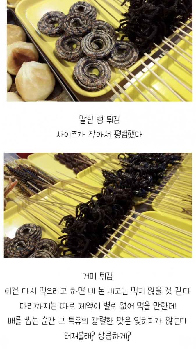 [잡담] 중국이나 우리나 이상한거 많이 먹는다는건 좀 에바같음 | 인스티즈