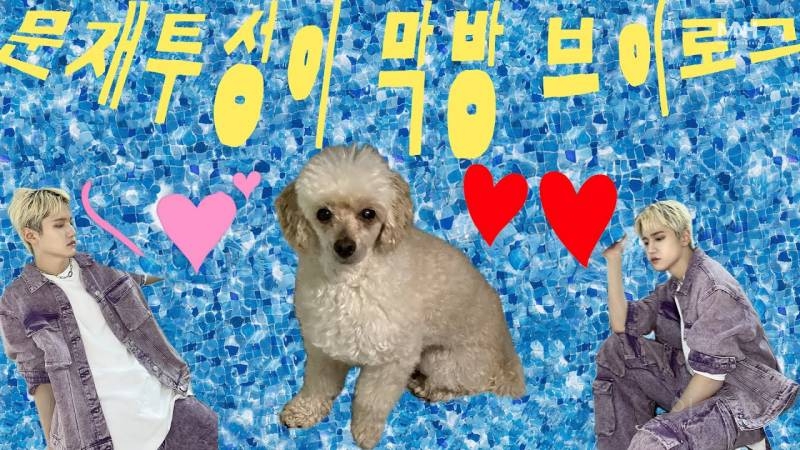편집도 본인처럼 귀여운 아이돌 브이로그.gif | 인스티즈