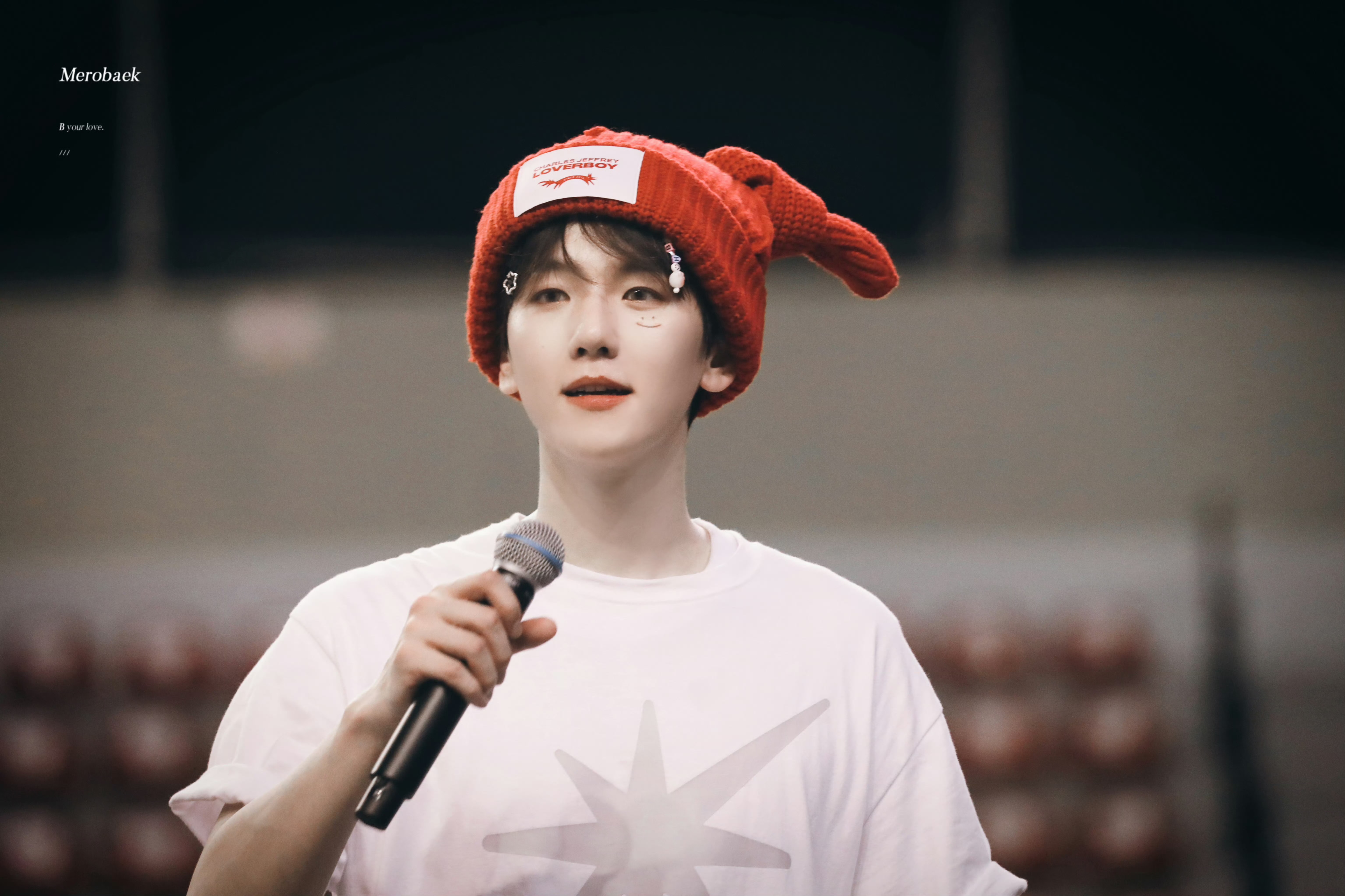 [미디어] 240407 백현 Lonsdaleite in HCM day2 고화질 14p💎🐶🐰❤️ | 인스티즈