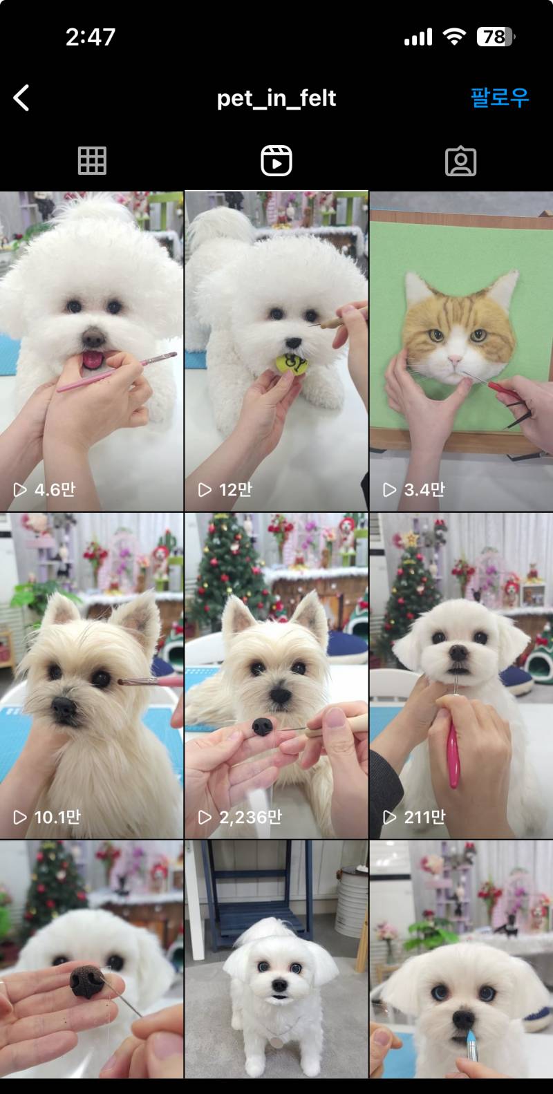 [잡담] 와 인스타에서 봤는데 다 인형이래 진짜 신기함 | 인스티즈